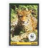 Image 2 : Red Rose Tea Stamp Catalogue & 5pc WWF Cards
