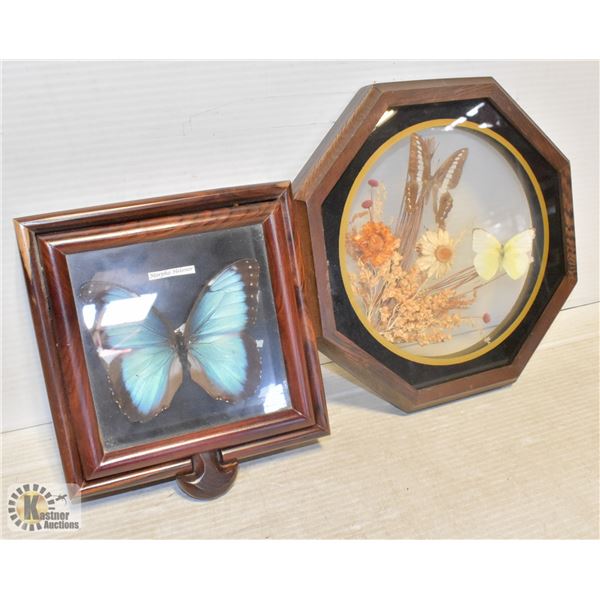 BUTTERYFLY PICTURE & BOX