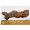 3)  DINOSAUR PETRIFIED POOP, WEIGHING 77.2