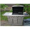 Image 1 : Kirkland Signature Propane Barbecue w/ Side Burner