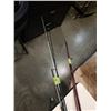 Image 3 : BUNDLE OF FISHING RODS