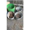 Image 1 : 4 BUCKETS OF GRINDING BITS, WIRE WHEELS, NUTS AND BOLTS