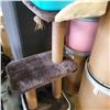 Image 3 : CAT TREE, LITTER BOX AND CAT TOYS