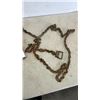 Image 2 : CHAIN CINCH