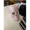 Image 3 : 3 SKELETON DECORATIONS, 2 SKULLS