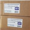 Image 2 : 5 CASES OF HAND SANITIZER - 120 BOTTLES WITH PUMPS