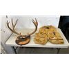 Image 1 : ANTLERS ON MOUNT AND FISHING VEST