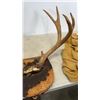 Image 9 : ANTLERS ON MOUNT AND FISHING VEST
