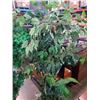 Image 3 : 2 ARTIFICIAL TREES - APPROX 67 INCHES TALL