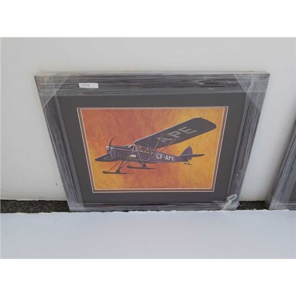 Dehavilland AH80 p moth   CF - APE by Banks - overall size 21 1/2 inches x 17 1/2 inches