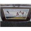 Image 2 : Limited edition print wings and wonder by Glenn Olson signed and numbered - overall size 36 inches x