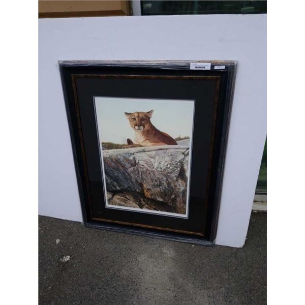 Limited edition print Skyline cougar by A Casey signed and numbered - overall size 41 inches x 34 in