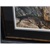 Image 4 : Limited edition print Skyline cougar by A Casey signed and numbered - overall size 41 inches x 34 in