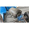 Image 2 : 3 ELECTRIC MOTORS AND GAS MOTOR