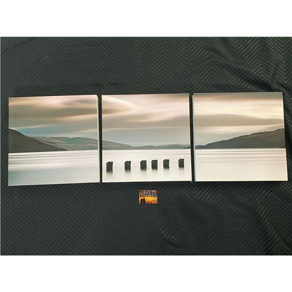 3 PIECE PICTURE OF A SUNSET