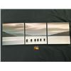 Image 1 : 3 PIECE PICTURE OF A SUNSET