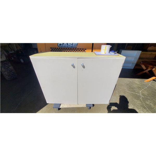 4' X 3' X 12" CABINET