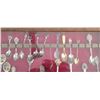 Image 2 : COLLECTION OF SPOONS AND DISPLAY CASE