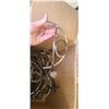 Image 3 : ROD IRON CANDLE HOLDERS QTY 404