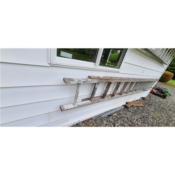 Extension Ladder cat E