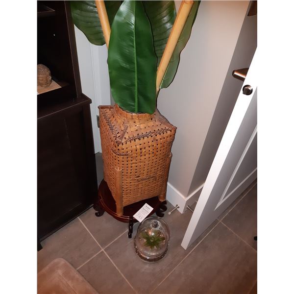 Faux plant, air plant cat A