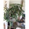 Image 1 : Norfolk Pine and Faux Plants Cat B