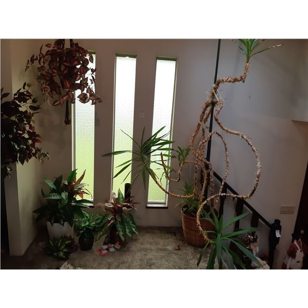 Live Plant and Faux Plants Cat B
