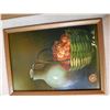 Image 4 : Original Framed Art Scott & Garn  Cat A