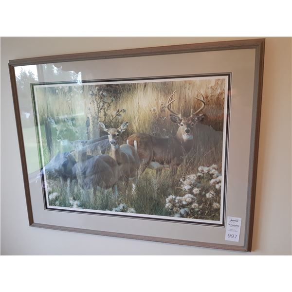 Framed & Numbered print by Brenda cat B