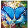 Image 1 : Blue Morpho by Bull, Simon