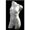 Image 3 : FEMALE TORSO by Charles Lynn Bragg