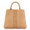 Image 3 : Delvaux Brilliant Top Handle Bag Mixed Exotics GM Brown