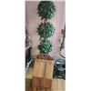 Image 1 : POTATO AND ONION BIN AND SUDO TREE
