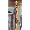 Image 3 : WALKING STICKS AND CANES