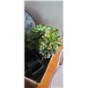 Image 3 : MINI FOUNTIAN, DESK ORGANISER, CLOCK, AND PLANT POT
