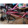Image 3 : RENEGADE JEEP & KAWASAKI KX300 KIDS BIKE; ACCESS. & 2 HELMETS