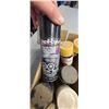 Image 4 : CASE ASSORT. PAINTS (SPRAY, QT.) & STAINS