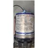 Image 9 : TWO FRESH WATER PUMPS 1-NEW (PENTAIR) 1-USED (SURIT10)