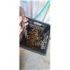 Image 7 : HD COME-A-LONG AND TOW CHAIN IN CRATE