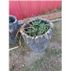 Image 2 : TWO LOG STYLE PLANTERS, ROOSTER AND TURTLE PLANT POTS