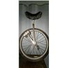Image 2 : UNICYCLE (1)