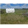 Image 1 : 5' X 5' X 10FT. PLASTIC WATER TANK C/W VALVE & 2 HOSE PCS.