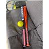 Image 1 : Two bats and a ball