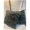 Image 1 : Two cushions