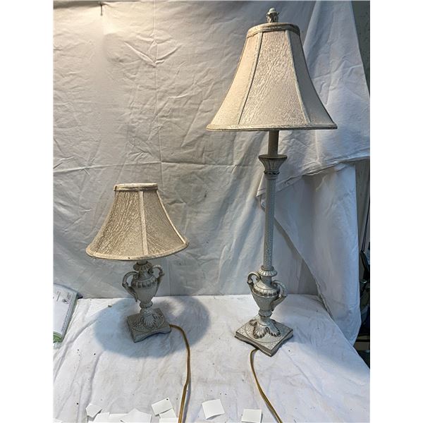 Pair lamps