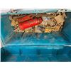 Image 2 : Toolbox and contents