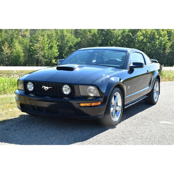 2007 FORD MUSTANG G