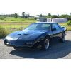 Image 2 : 1991 PONTIAC TRANS AM GTA