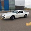 Image 1 : 1983 PONTIAC FIREBIRD