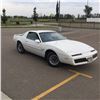 Image 3 : 1983 PONTIAC FIREBIRD